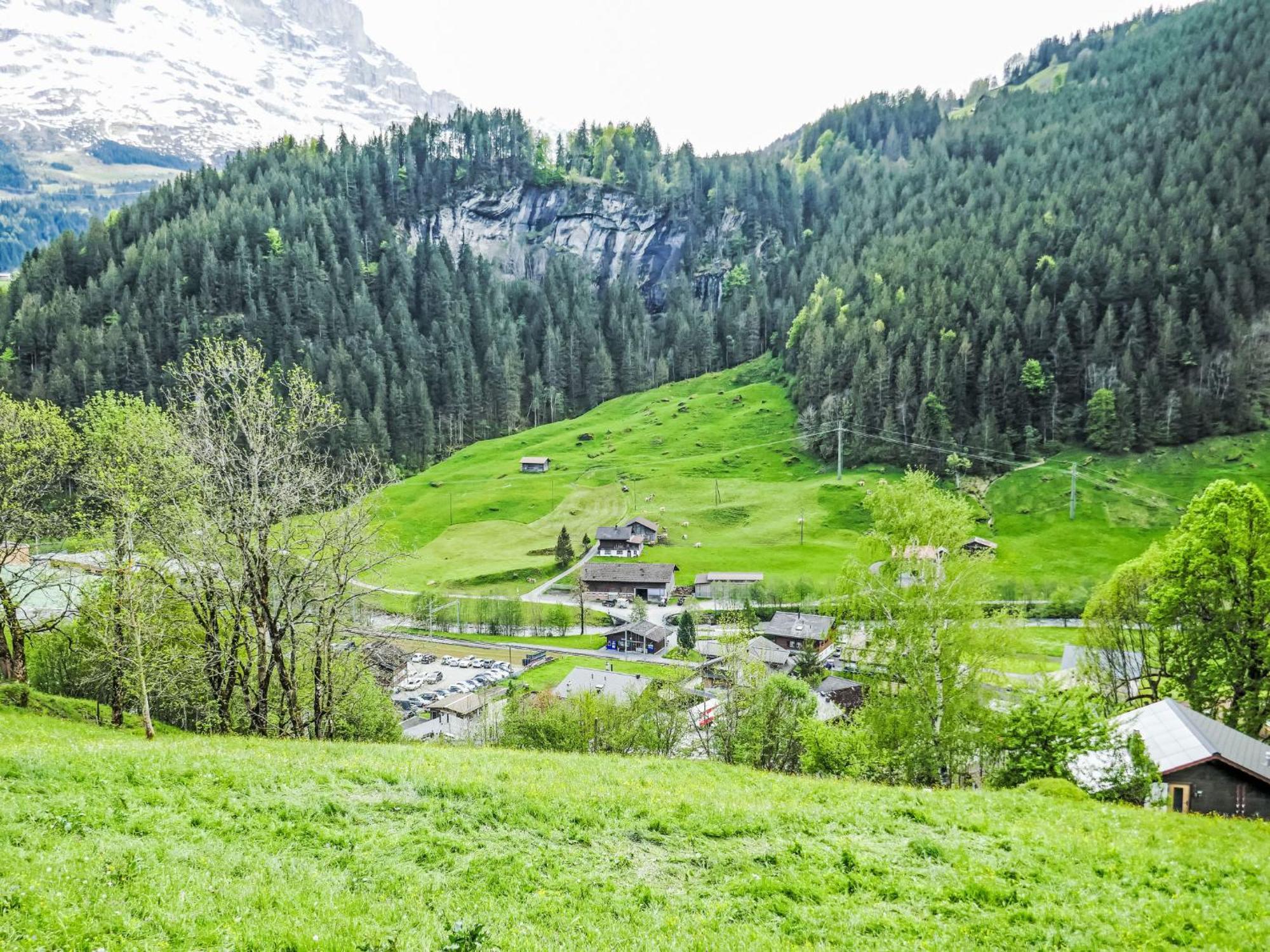 Apartment Chalet Auf Dem Vogelstein-1 By Interhome Grindelwald Exteriér fotografie